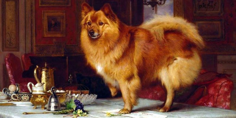 Queen Victoria's Beloved Pomeranians