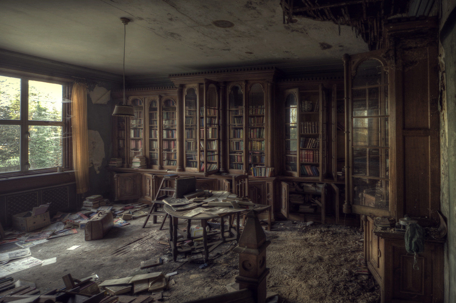 A novel way to die? Photo by Andre Govia.